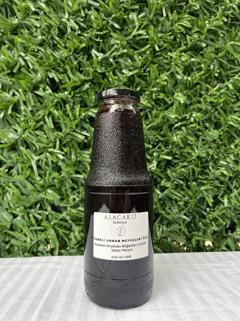 Orman Meyveleri Özü 